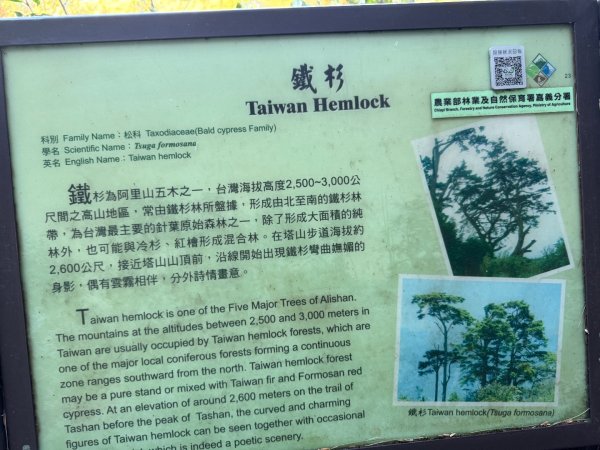 1141215塔山步道2962703