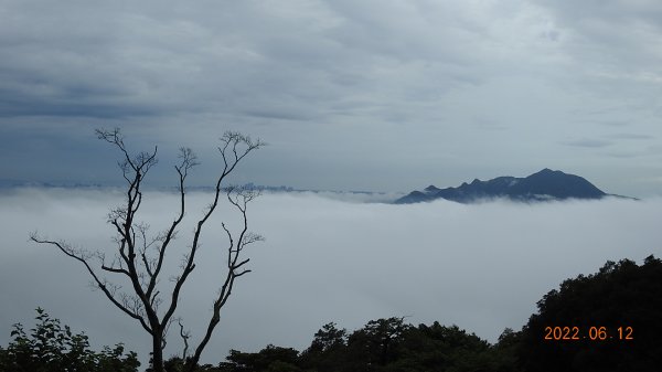 前天摔車受傷也要衝?! 陽明山雲海&天空之城&雲海中觀音1733369