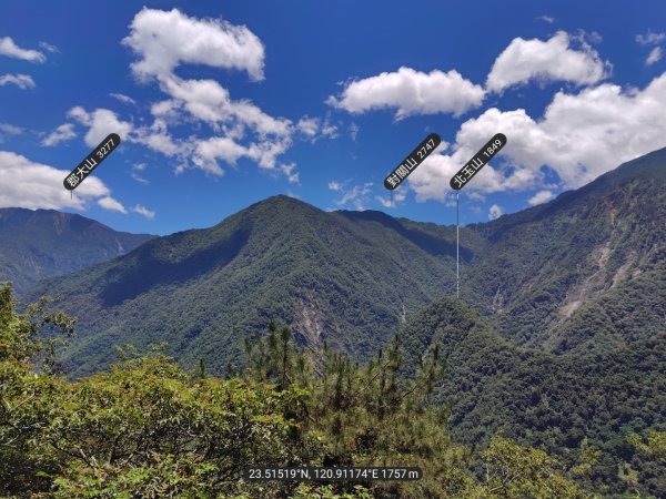 沙里仙林道、沙里仙溪、同富山/埔沙山、東埔山、阿毛巨木2812452