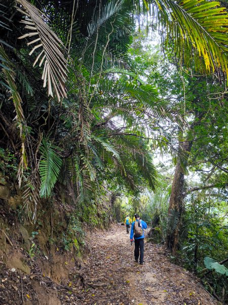 2025-03-08 汶水三山：金童山、汶水山、玉女山 連走2736563