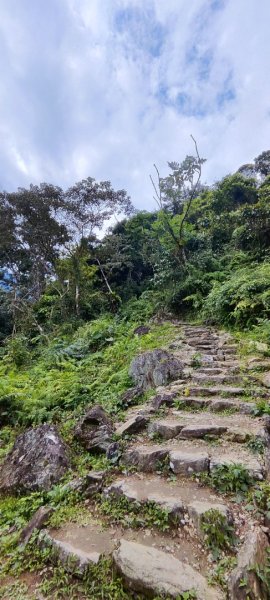 花蓮瑞穗．富源國家森林遊樂區景觀步道202602203013173