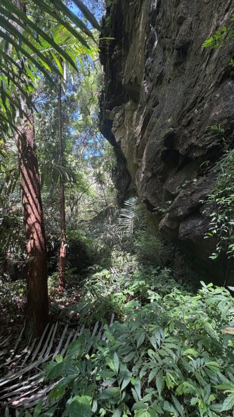 戲水（鴛鴦2786669