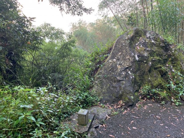 大凍山（小百岳）1117303