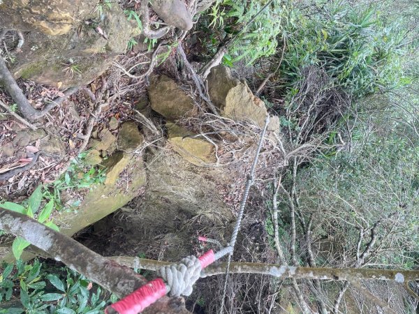 微笑山⛰️線-大棟-二格山-五分山-天上山-鳶山💎12條步道完成💙2834176