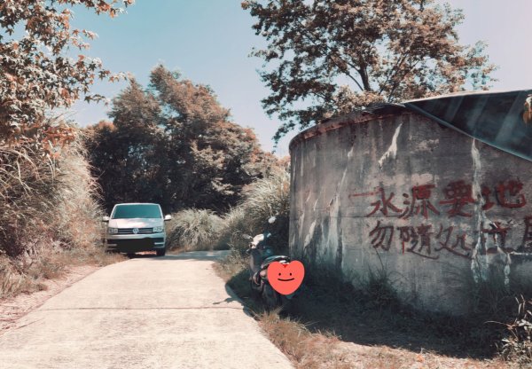 【中級山】是誰，在森林裡施放了魔法與巫術，幽靈草，如此魅惑，魔幻森林塔曼山2743717
