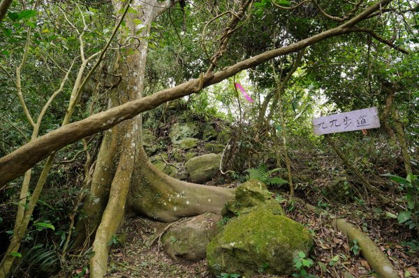 新竹 峨嵋 獅頭山、獅尾山、六寮山、猿山2450074