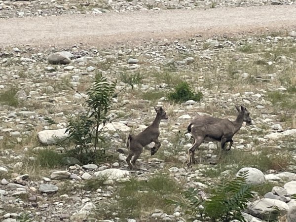 多彩塞北阿拉善.騰格里沙漠六湖穿越2920109