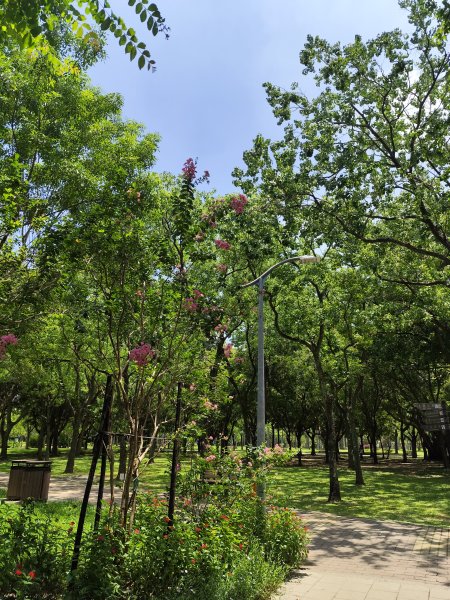 大港墘公園、大安森林公園、大稻埕、天母【走路趣尋寶】【臺北健走趣】2554251