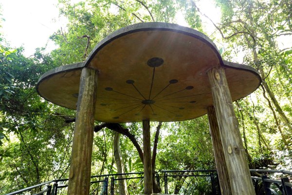 和美山｜新店碧潭步道2892095