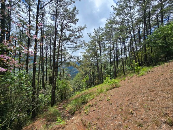 四大鳥山之首小劍山2773956