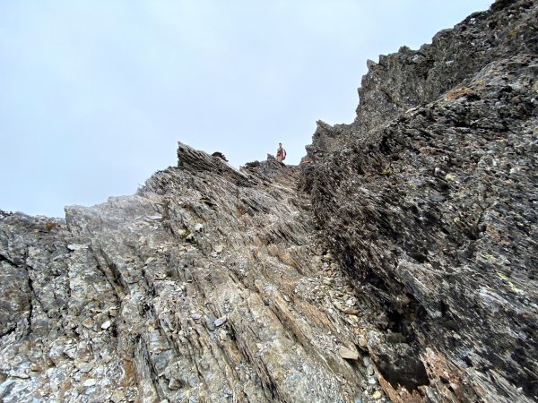 玉山後四峰-不同角度看玉山、圓峰雲海964357