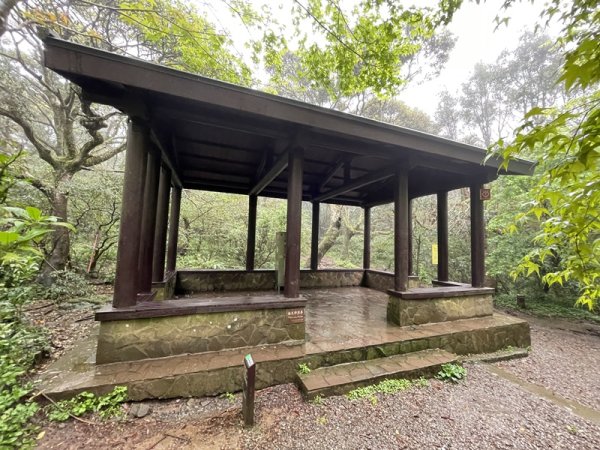 台北大縱走第一段2738411