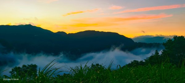 跟著雲海達人山友追雲趣 #草莓月亮 #月圓雲海 #霞光 #日出雲海 #茶園 6/112808810
