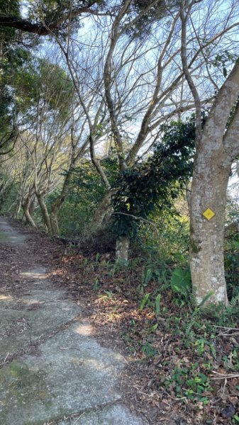 十份棟古道出雲端2688948