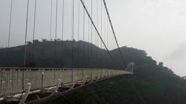 太平雲梯到橋步道787517