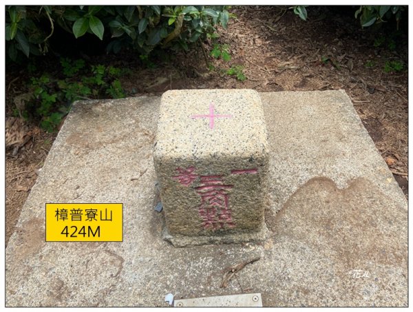 樟普寮山、藤山步道、微熱山丘