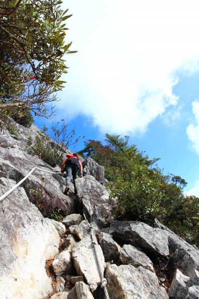 鳶嘴山，俯瞰西海岸，遠望玉山秀姑巒58059