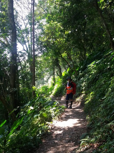 108.08.17 三峽  雲森瀑布654722