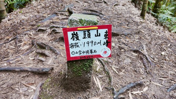 留龍頭 嶺頭山 金柑樹山 忘憂森林 我想抓住您的美2092105