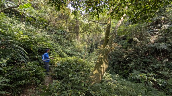115.04.12金平山西峰-蝙蝠洞之旅3034712