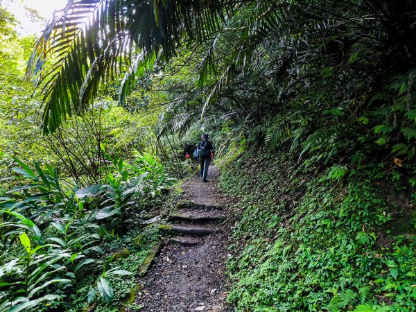 2025-06-15 銀河洞越嶺登山步道2816179