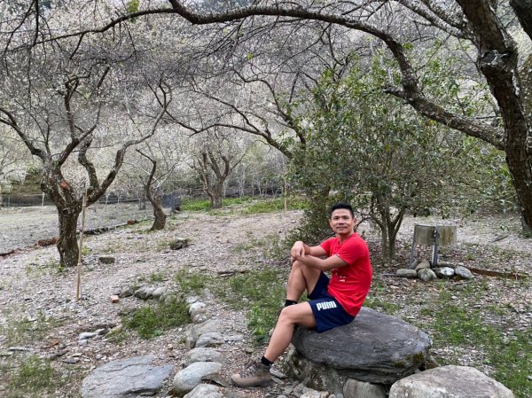 精英溫泉步道【野溪溫泉+野外炊煮初體驗】809100