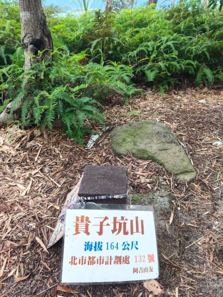 貴子坑報山步道2849853