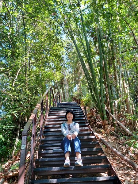 【南投魚池】澀水森林步道2933053