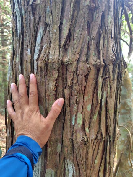 守關山南峰 守關山 守城大山2919107