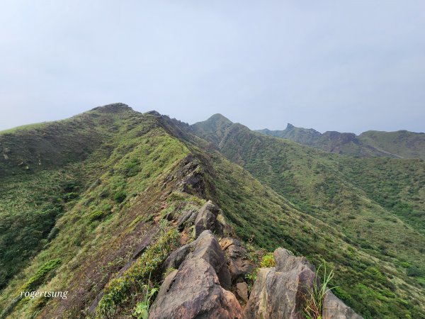 步步驚險 處處絕景 險與美的融合象限 郊山之王劍龍稜2082000