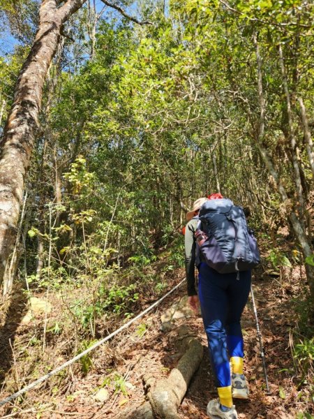 【中級山】邑治第一山，守城大山，連走守關山，守關山南峰2740904