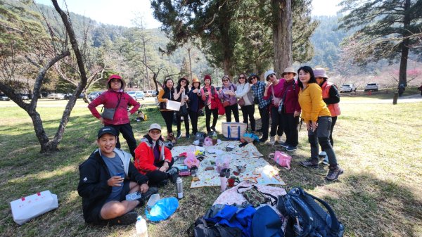 雪山東峰+武陵賞櫻2751206