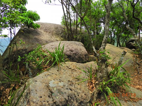 臺北 內湖 龍船岩、開眼山924808