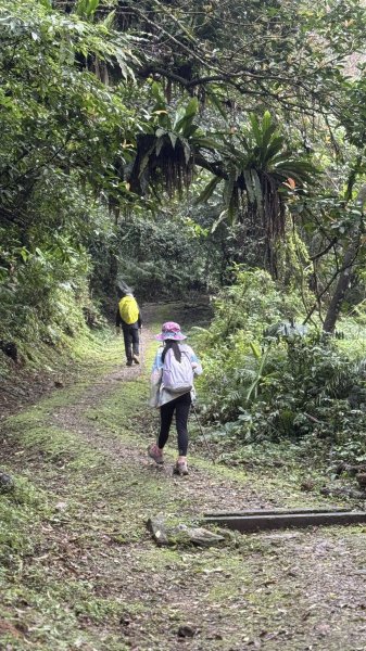 20260203小百岳月眉山鯉魚山2994881