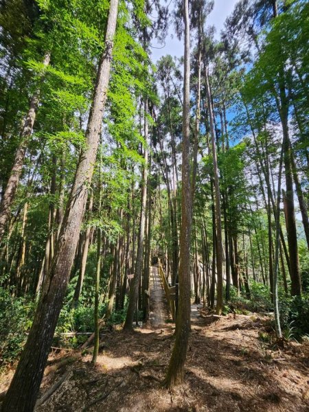 20260914石壁英雄步道上番子田山O繞五元兩角雲嶺之丘3119114