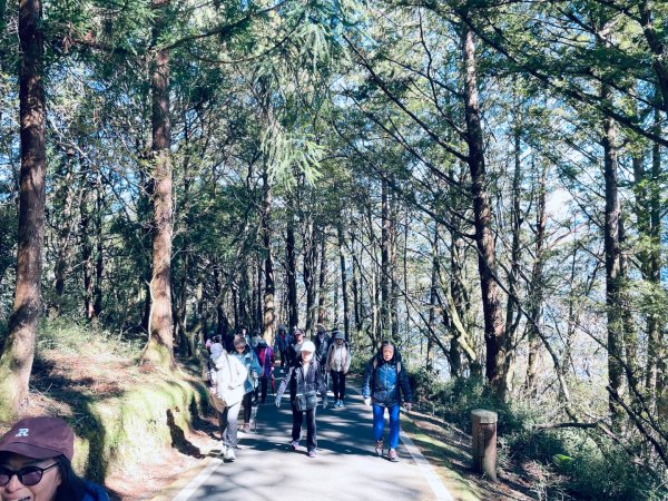 20251209 阿里山-小笠原觀景平台、祝山觀日步道2959798