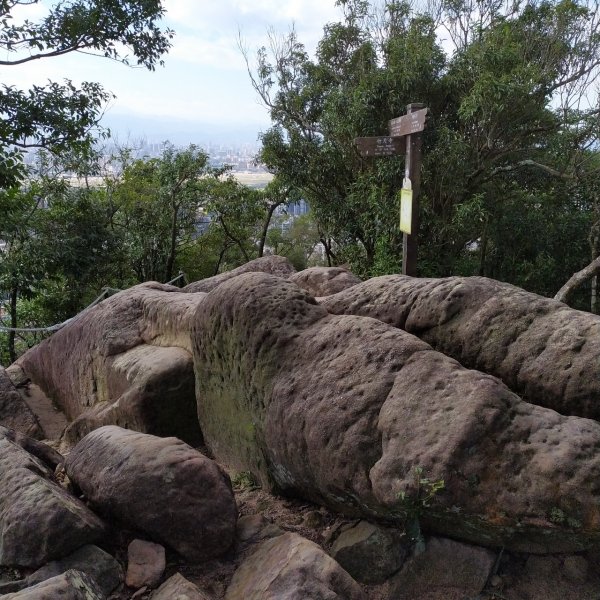 金面山親山步道768282