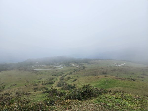 小百岳No.82⛰灣坑頭山3003064