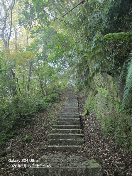 2026-03-15微笑山線：【二格山系】皇帝殿稜線段3016100