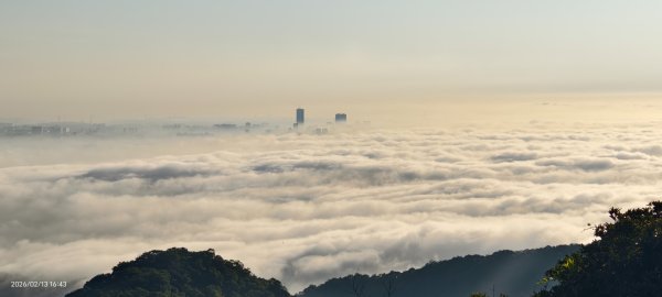 #觀音山 #雲海 #夕陽 #天空之城 #大赤鼯鼠（飛鼠） 2/132999436