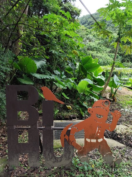 圓覺寺步道→新福本坑→碧湖步道→碧山公園→國立臺灣戲曲學院→碧湖公園→大港墘公園【臺北健走趣】2849261
