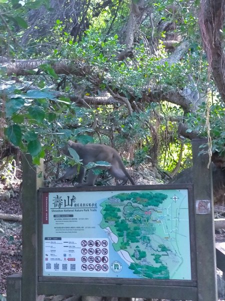 柴山/半屏山2858139