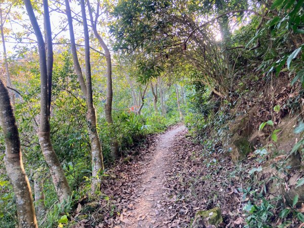 九份二山登山步道2688032