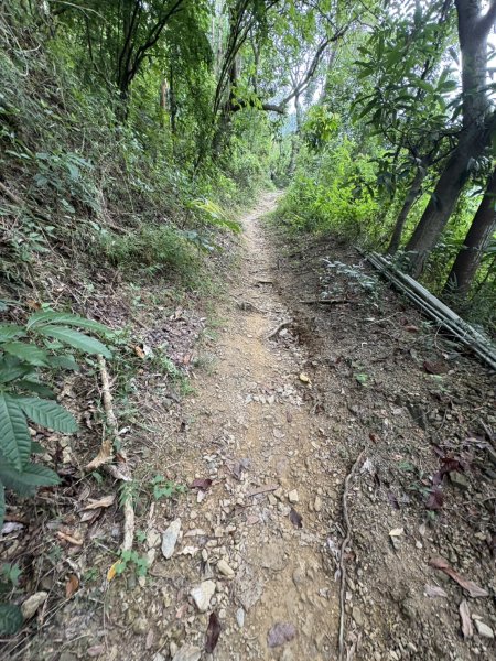 20251109棚集山步道2935244