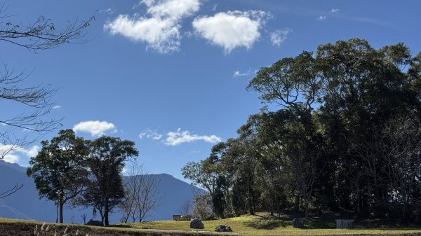 20260214 小百岳藤枝山3002996