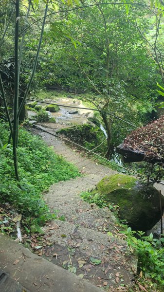 2025-0310臺北大縱走第七段2737283