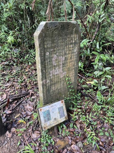 南北豹子廚山2925462