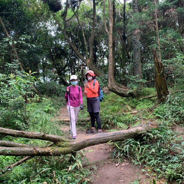 獅仔頭山/小百岳1453960