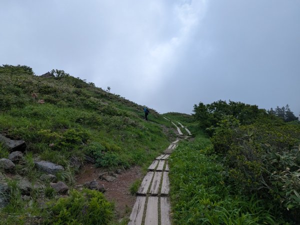 20260703 秋田森吉山3081912