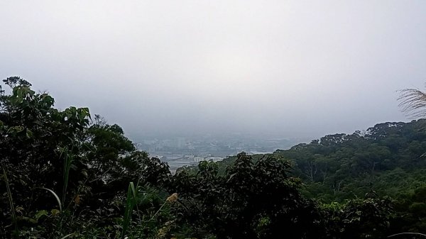20230228 新竹新豐 鳳崎落日步道 走走2064537